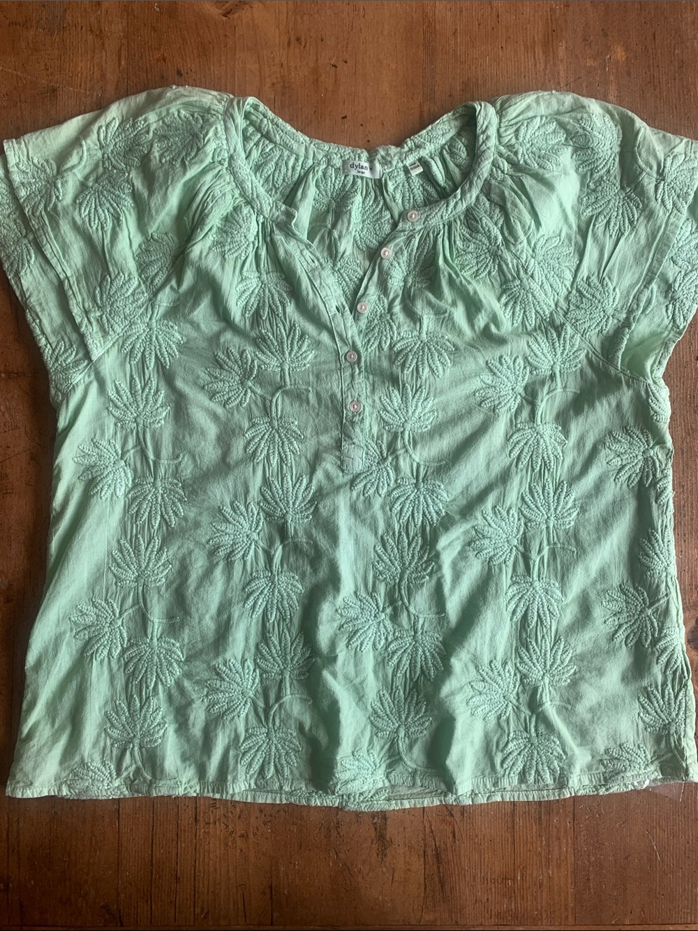 dylan Seafoam Green Embroidered Short Sleeve Blouse